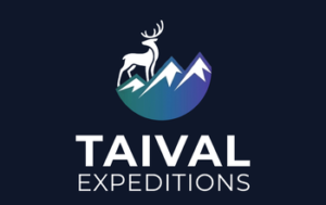 default-logo